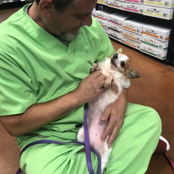Green Paws Pet Market - BFF - Pet Groomers Near Me - Plantation, Florida