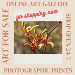 Magpie Springs - Photographic Art Prints for sale online - https://www.redbubble.com/lists/10075547/wall-art-s