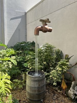 Ripley's Believe It or Not! by null