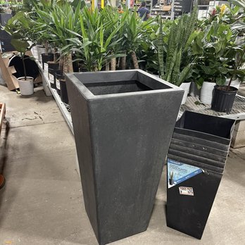 The Home Depot - Plant pot - Nurseries & Gardening Near Me - Houston, Texas The Home Depot - Plant pot - Nurseries & Gardening Near Me - Houston, Texas