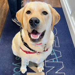 MOCEAN Cape Cod - Everybody is welcome at MOCEAN!