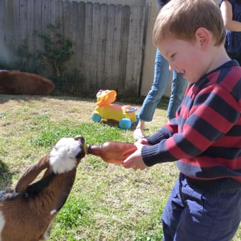 Pony Ranch Parties - Petting Zoos Near Me