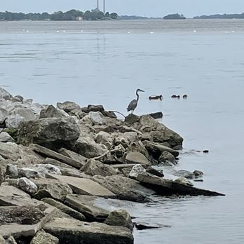 Lake Erie Metropark - Shorline sights - Parks Near Me - Brownstown, Michigan Lake Erie Metropark - Shorline sights - Parks Near Me - Brownstown, Michigan