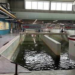 Bow Habitat Station/Sam Livingston Fish Hatchery