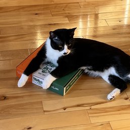The cat even likes Rafferty's! The cat even likes Rafferty's!