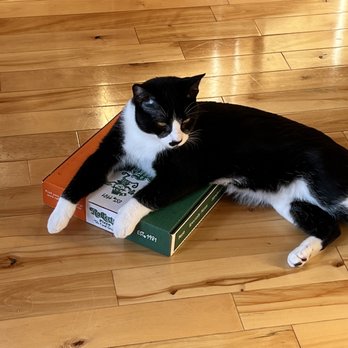 Rafferty's Pizza - The cat even likes Rafferty's! - Pizza Near Me - Crosslake, Minnesota Rafferty's Pizza - The cat even likes Rafferty's! - Pizza Near Me - Crosslake, Minnesota