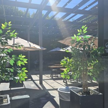Memorylook - Coffee & Tea Near Me - Los Angeles, California Memorylook - Coffee & Tea Near Me - Los Angeles, California