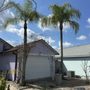 Photo of Mackdog Tree Services