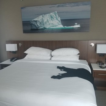 Delta Hotels by Marriott St. John's Conference Centre - Hotels Near Me - St. John's, Newfoundland and Labrador Delta Hotels by Marriott St. John's Conference Centre - Hotels Near Me - St. John's, Newfoundland and Labrador
