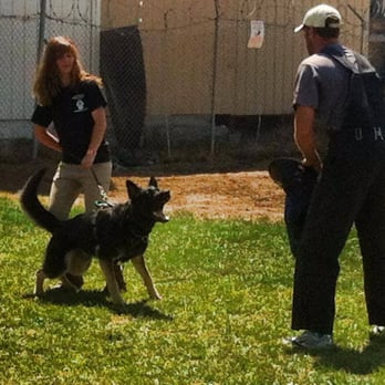 K9 Training Solutions - Schutzhund and Personal Protection Work Available - Pet Training Near Me - Gold River, California K9 Training Solutions - Schutzhund and Personal Protection Work Available - Pet Training Near Me - Gold River, California