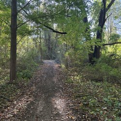 Salt River Nature Preserve - Trail, typical.