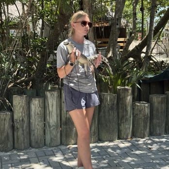 Florida Keys Aquarium Encounters - Aquariums Near Me - Marathon, Florida