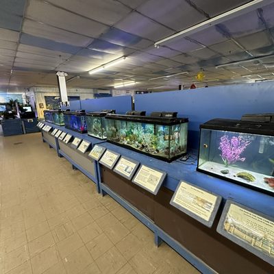 Biomes Marine Biology Center by null