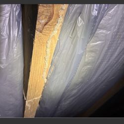 Nukem Pest Management - Termite should