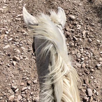 Kenyon Guest Ranch - Nice, well cared for horses - Venues & Event Spaces Near Me - Tubac, Arizona Kenyon Guest Ranch - Nice, well cared for horses - Venues & Event Spaces Near Me - Tubac, Arizona