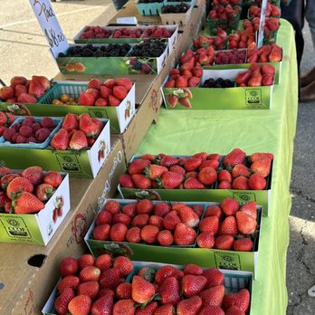 Kem Farms - Beautiful Strawberries at the Divisadero Farmers Market San Francisco - Farmers Market Near Me - Santa Maria, California Kem Farms - Beautiful Strawberries at the Divisadero Farmers Market San Francisco - Farmers Market Near Me - Santa Maria, California