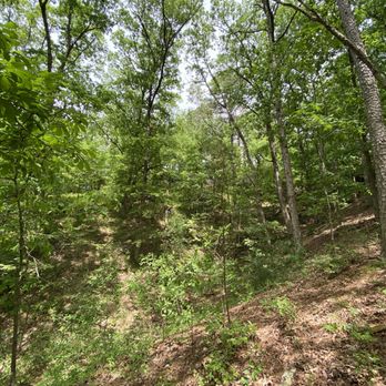 Loblolly Pines Adventure Camps - Campgrounds Near Me - Eureka Springs, Arkansas