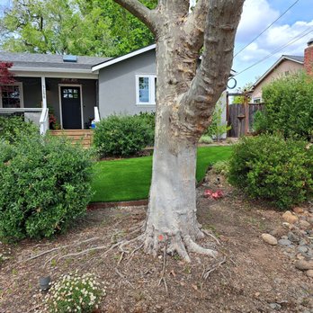 Onelawn - Final view from the street. - Artificial Turf Near Me - San Lorenzo, California