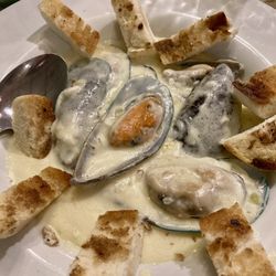 Green lip mussels in creamy Parmesan sauce appetizer