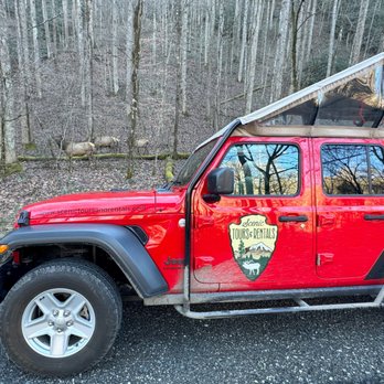 Scenic Tours & Adventures - ATV Rentals/Tours Near Me - Maggie Valley, North Carolina Scenic Tours & Adventures - ATV Rentals/Tours Near Me - Maggie Valley, North Carolina