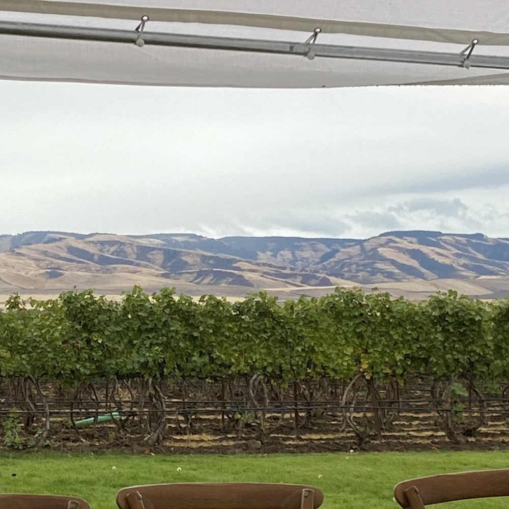Kinhaven Winery - a view of a vineyard from a patio - Wine Tasting Room Near Me - Walla Walla, Washington Kinhaven Winery - a view of a vineyard from a patio - Wine Tasting Room Near Me - Walla Walla, Washington