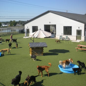Diggity Dog Daycare - Wisconsin's Biggest Outdoor Play Yard - Pet Services Near Me - La Crosse, Wisconsin Diggity Dog Daycare - Wisconsin's Biggest Outdoor Play Yard - Pet Services Near Me - La Crosse, Wisconsin