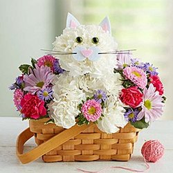 Flowers by Tara and Jewelry World - FOR CAT LOVERS FABULOUS FELINE