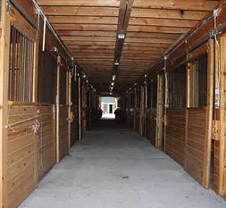 Boarding Your Horse - Here are some of the ways that we ensure your horse is getting the best of care:
Daily turnout: minimum half-day (weather permitting).
Daily handling
Stalls cleaned daily and picked as needed.
Hay fed according to horse's individual needs.
Grain customized to meet individual horse's needs.
Supervision on premises
Horses blanketed/unblanketed as needed.
Fresh, clean water daily Boarding Your Horse - Here are some of the ways that we ensure your horse is getting the best of care:
Daily turnout: minimum half-day (weather permitting).
Daily handling
Stalls cleaned daily and picked as needed.
Hay fed according to horse's individual needs.
Grain customized to meet individual horse's needs.
Supervision on premises
Horses blanketed/unblanketed as needed.
Fresh, clean water daily