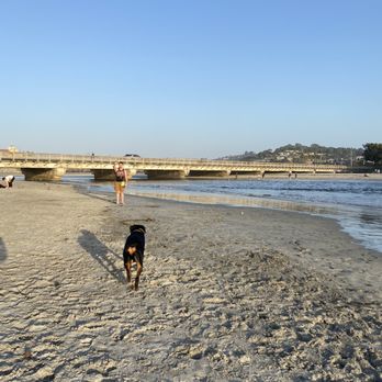 Del Mar North Beach - Beaches Near Me - Del Mar, California