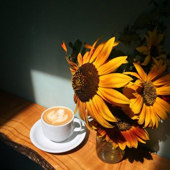 Equiano Coffee - 8 oz latte - Coffee Roasteries Near Me - Eugene, Oregon