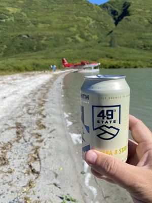 Rust's Flying Service by null