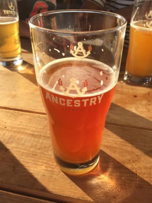 Ancestry Brewing by null