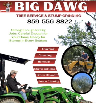 Stump Be Gone! - Big Dawg Tree Service and Stump Grinding is your local expert for all things trees! With years of experience serving Winchester and the surrounding areas our friendly team specializes in professional stump grinding and comprehensive tree services. Whether you need a pesky stump removed, routine tree maintenance, or emergency storm cleanup, we bring skill, safety, and outstanding customer care to every job.
Our Services:
Fast, thorough stump grinding—no job too big or small
Tree removal, trimming & pruning
Emergency storm and debris cleanup
Lot & land clearing
Free estimates and honest advice
Why Choose Us?
Fully licensed and insured
Equipped for all residential and commercial jobs
Safety-first, eco-friendly practices
5-star customer service—with a smile! Stump Be Gone! - Big Dawg Tree Service and Stump Grinding is your local expert for all things trees! With years of experience serving Winchester and the surrounding areas our friendly team specializes in professional stump grinding and comprehensive tree services. Whether you need a pesky stump removed, routine tree maintenance, or emergency storm cleanup, we bring skill, safety, and outstanding customer care to every job.
Our Services:
Fast, thorough stump grinding—no job too big or small
Tree removal, trimming & pruning
Emergency storm and debris cleanup
Lot & land clearing
Free estimates and honest advice
Why Choose Us?
Fully licensed and insured
Equipped for all residential and commercial jobs
Safety-first, eco-friendly practices
5-star customer service—with a smile!