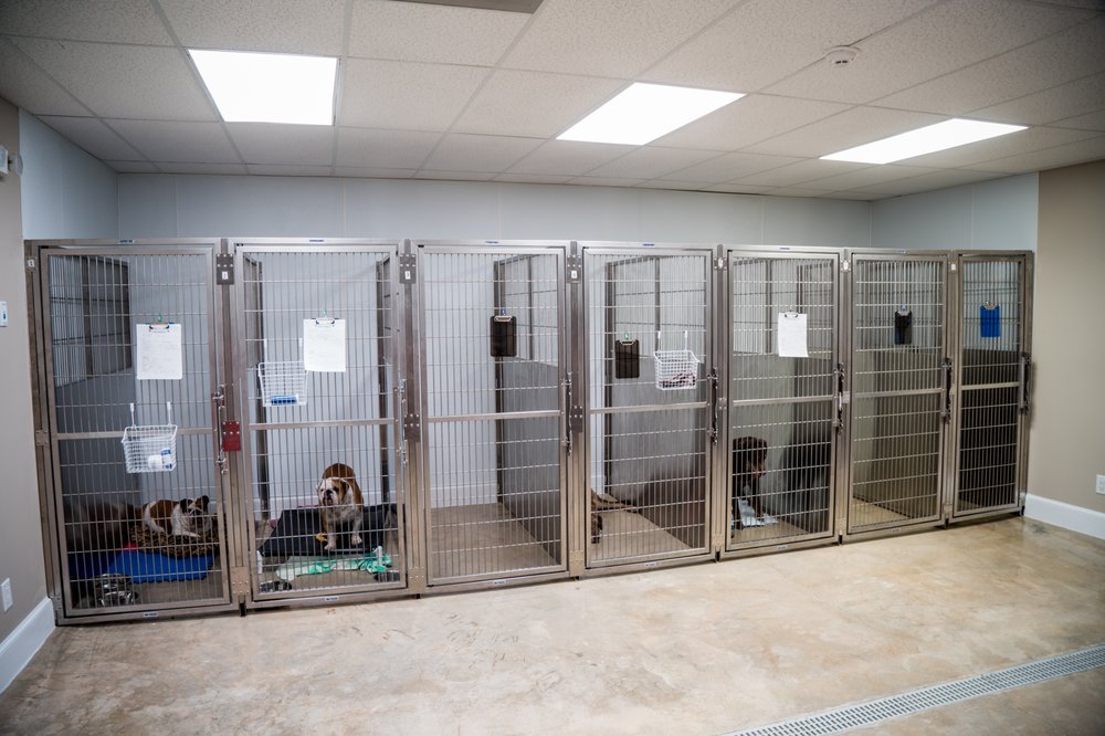 ANIMAL WELLNESS CENTER OF ATHENS Updated September 2024 14 Reviews