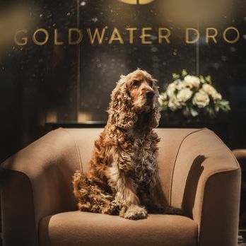 Goldwater Droit - Divorce & Family Law Near Me - Westmount, Quebec Goldwater Droit - Divorce & Family Law Near Me - Westmount, Quebec