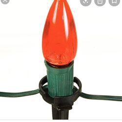 Coulter Gardens & Nursery - C9-c7 speed stakes available at Coulter Gardens & Nursery!