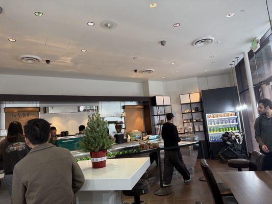 The Wild Fox by null