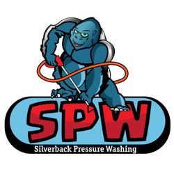 Silverback Pressure Washing - Silverback Pressure Washing in North Texas