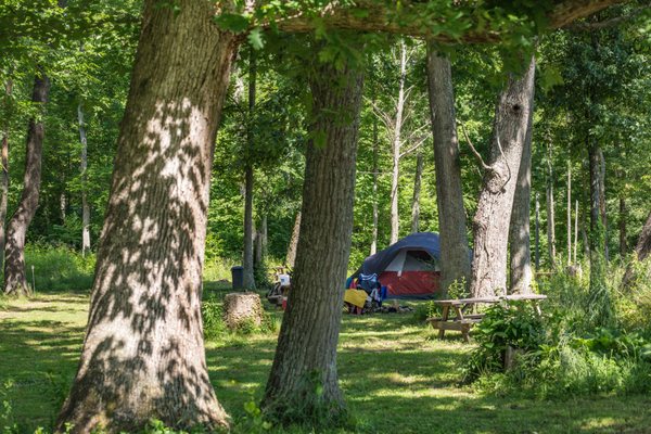 Arrowhead Bike Farm and Campground by null