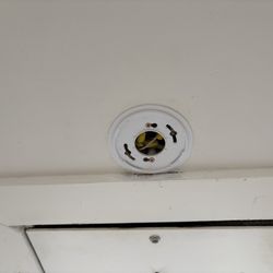 Spot where broken smoke detector was removed and not replaced in ceiling.