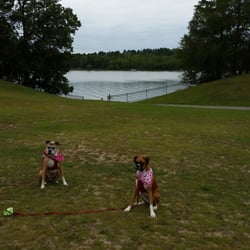 vagabond village campground - Potato Lake