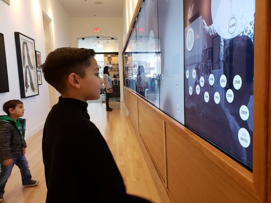 Black History Museum and Cultural Center of Virginia by null