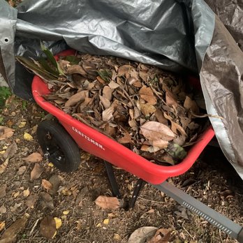 Yard 'N Gnome Lawncare - his debris in my wheelbarrow.... He covered it with my tarp that he destroyed and didn't even ask if he could use - Lawn Services Near Me Yard 'N Gnome Lawncare - his debris in my wheelbarrow.... He covered it with my tarp that he destroyed and didn't even ask if he could use - Lawn Services Near Me