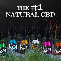 CBD of Lakeland - Koi Vapable CBD