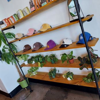 Jesse's Grind Coffee Bar - Coffee and plants - Coffee & Tea Near Me - Winnetka, California Jesse's Grind Coffee Bar - Coffee and plants - Coffee & Tea Near Me - Winnetka, California