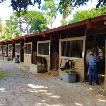 Willowood Stables - South End of Barn 2 - Horse Boarding Near Me - Greenacres, Florida Willowood Stables - South End of Barn 2 - Horse Boarding Near Me - Greenacres, Florida