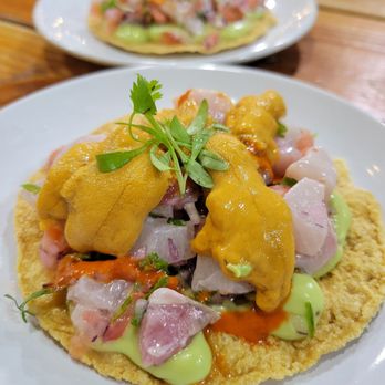 Holbox - Tostada Kanpachi & Uni - Latin American Near Me - Los Angeles, California