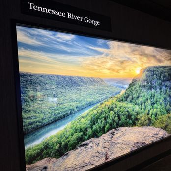Tennessee Aquarium - Aquariums Near Me - Chattanooga, Tennessee Tennessee Aquarium - Aquariums Near Me - Chattanooga, Tennessee