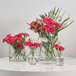Teddy's Florist Inc - I was able to buy two bundles of $5 mini-carnations and populate four different vases. Teddy's is the best!