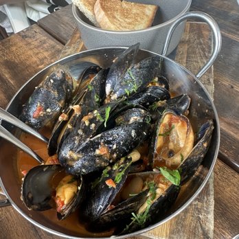 Divina - Spicy Mussels - Italian Near Me - Stamford, Connecticut Divina - Spicy Mussels - Italian Near Me - Stamford, Connecticut